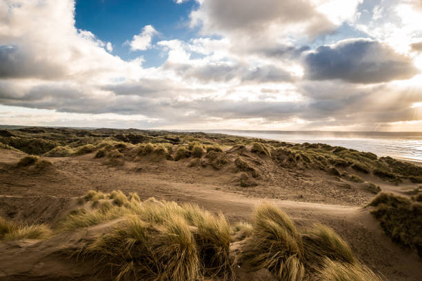 istock Saunton Sands - Dunes in Winter 908483542