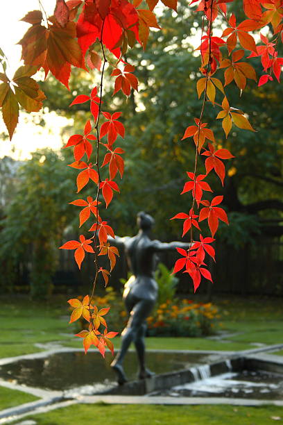 Vermelho folhas em um parque - fotografia de stock