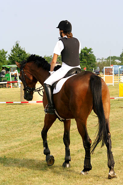 istock Horseback riding girl from the back 90848825
