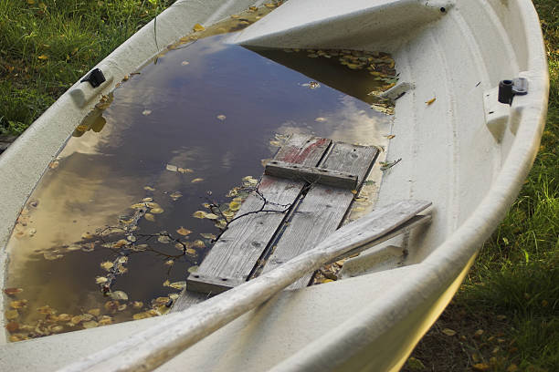 rowing boat stock photo