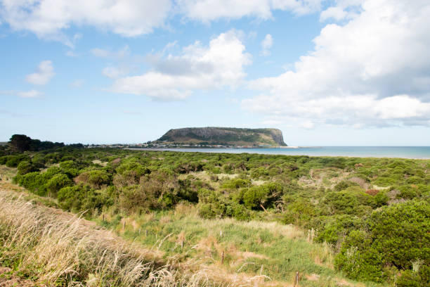 istock Stanley, Tasmania, Australia 908490324