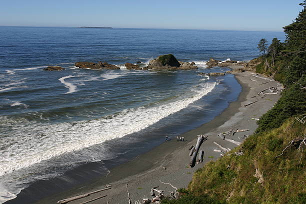 istock Friends walking on the Washington Coast. 90849485