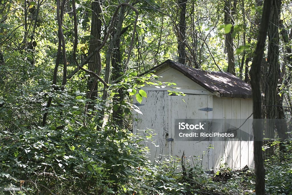 Abandonado aclarar en el bosque - Foto de stock de Abandonado libre de derechos