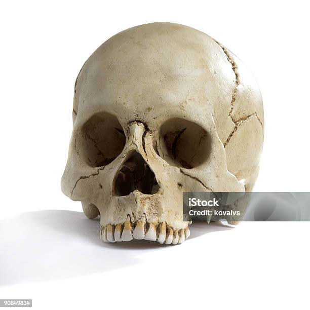 Cranium Stockfoto und mehr Bilder von Alt - Alt, Anatomie, Angst