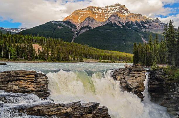 istock Summer landscape in the mountains with stormy water falling from waterfalls 908499026