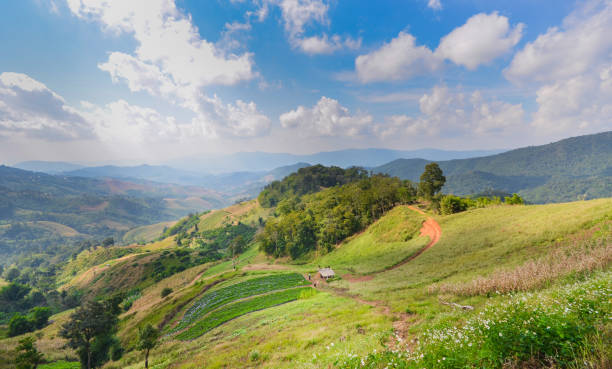 istock Ranch on the hill and beautiful sky 908501910