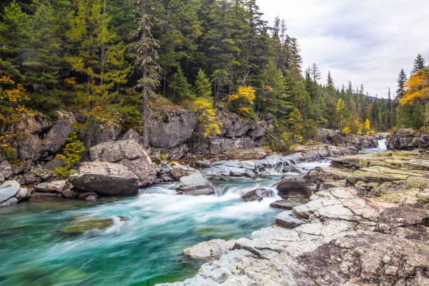 istock McDonald Creek in Glacier National Park 908502372
