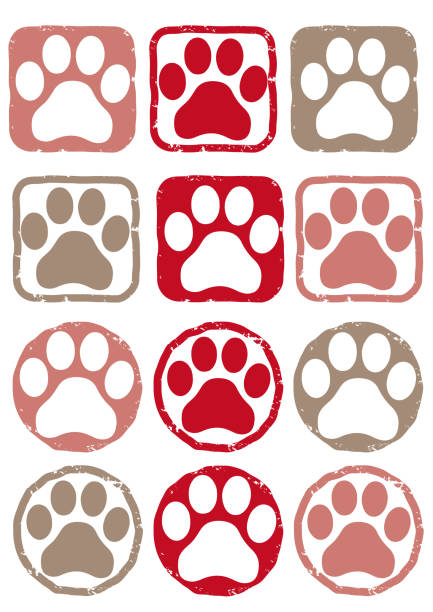 Footprint color vector set Sticker variation vector material animal toe stock illustrations