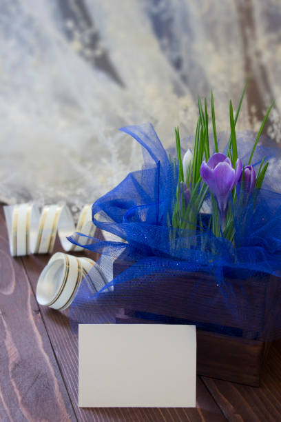 istock Spring holidays greeting card with purple crocuses and white card 908521200