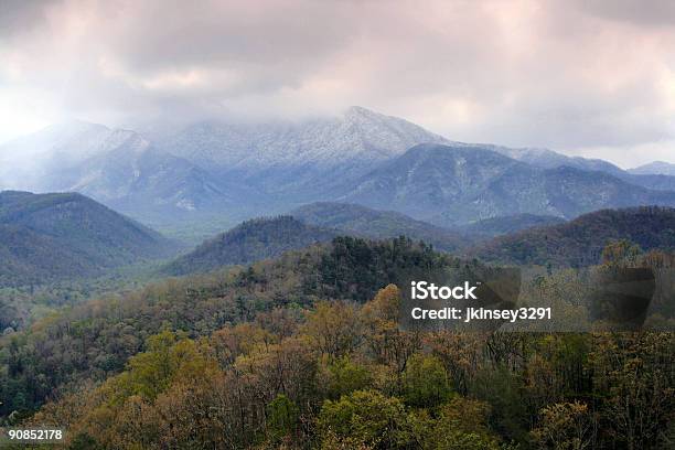 Primavera Neve Molto Forte - Fotografie stock e altre immagini di Grandi Montagne Fumose - Grandi Montagne Fumose, Parco Nazionale Great Smoky Mountains, Nevicata