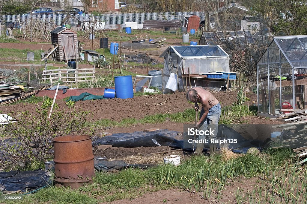 배정 gardener 작업 - 로열티 프리 지역공동체 텃밭 스톡 사진