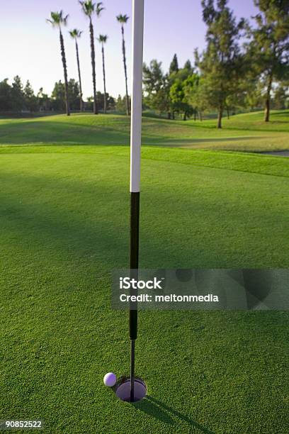 旗スティックゴルフボール - カラー画像のストックフォトや画像を多数ご用意 - カラー画像, カリフォルニア州, ゴルフ