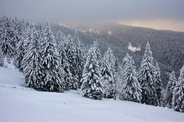 istock Mountain landscape in winter 908527930