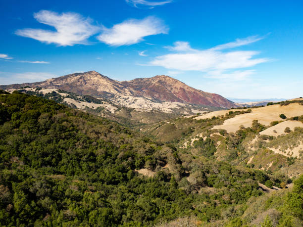 monte diablo visto desde morgan territorio regional park, east bay, california, en un día de otoño soleado durante caminata - mt diablo state park fotografías e imágenes de stock