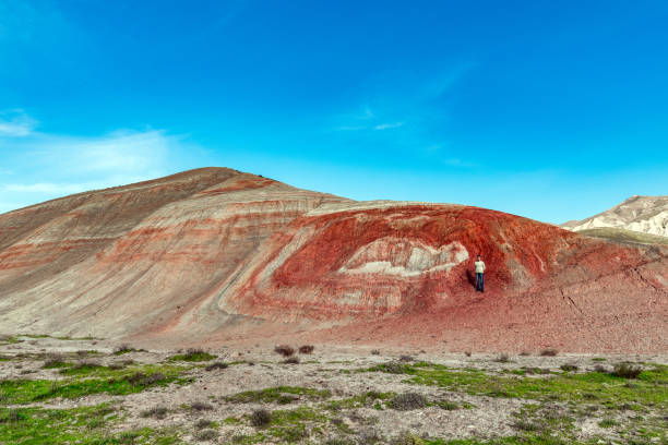 素晴らしい赤い山 - canyon rock mountain cliff ストックフォトと画像