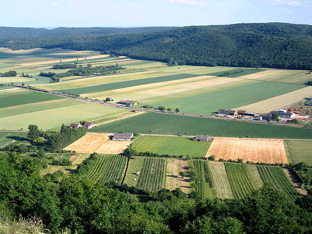 Country Fields stock photo