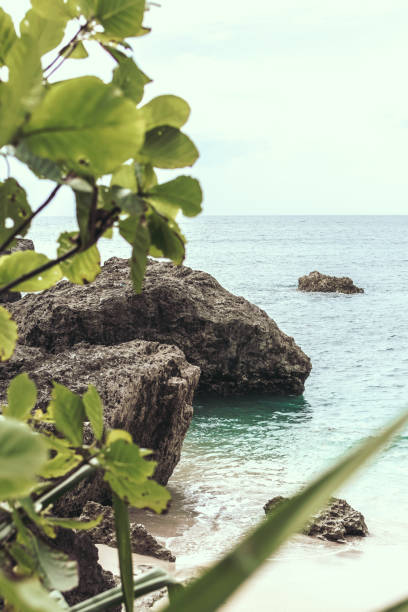istock Untouched tropical beach. Bali island, Indonesia 908538526