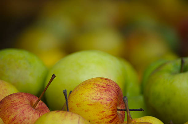 Apples fading away stock photo