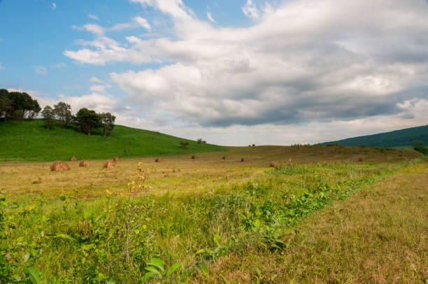 istock Green Grass Hill and hay bales 908539880