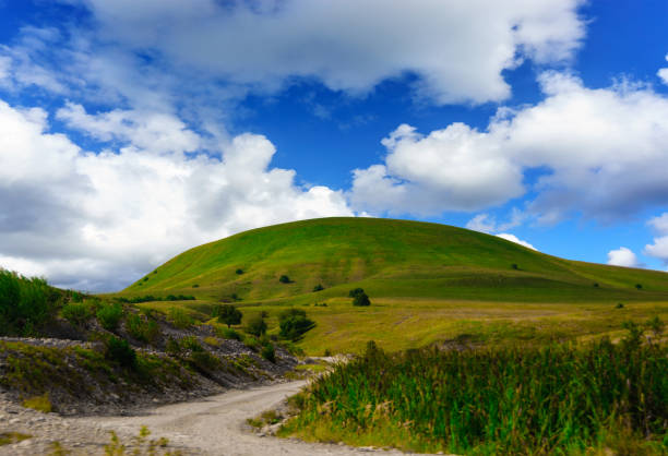 istock Green Grass Hill and Blue Sky 908539902
