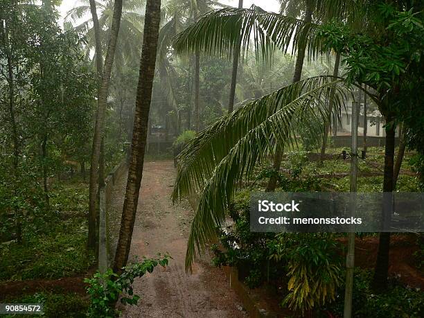Ливневые Дожди — стоковые фотографии и другие картинки Муссон - Муссон, Керала, Индия