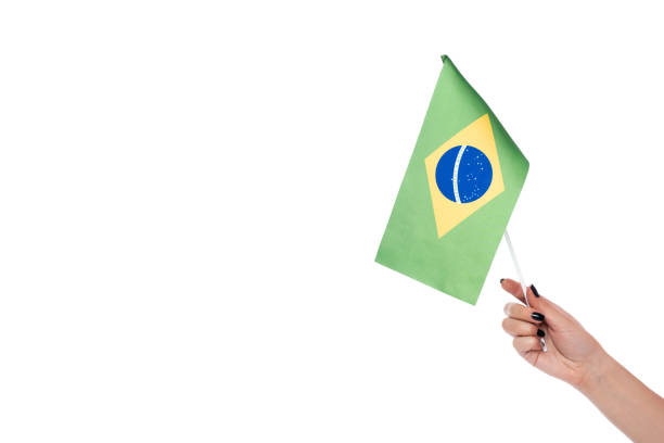 Young  Brazilian woman  fan holding flag