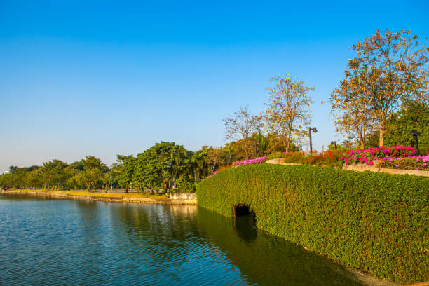 istock Stone Bridge in a park with lake on blue sky 908550894