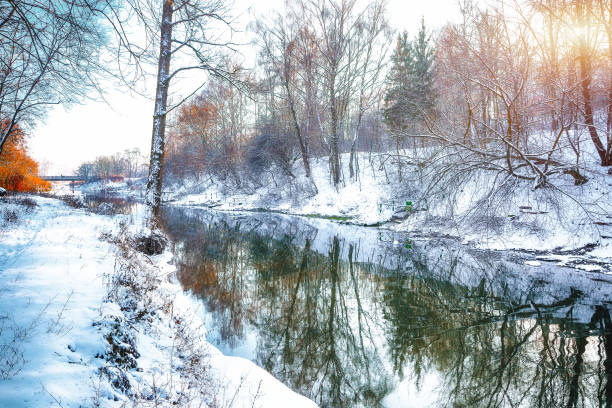 istock Scenic view of the river and trees 908554070