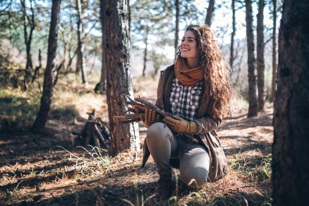 istock Collecting stick plant in forest 908560714