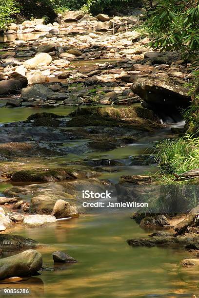 Niskie Creek Łóżka - zdjęcia stockowe i więcej obrazów Bez ludzi - Bez ludzi, Dziewiczość, Fotografika