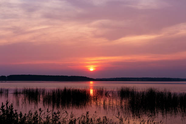 istock sunset over the lake in summer 908567328