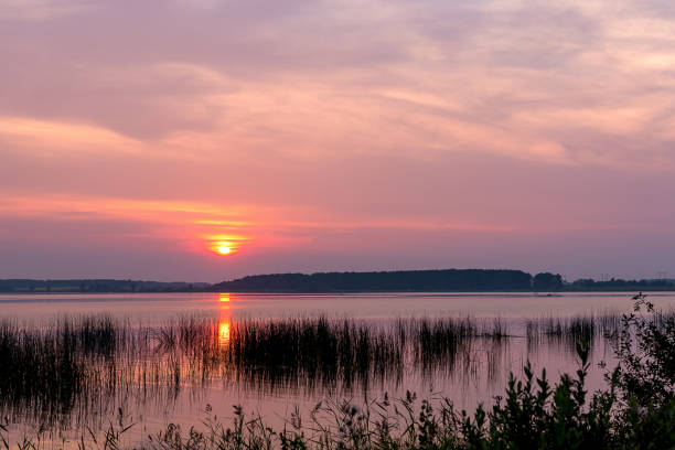 istock sunset over the lake in summer 908567330