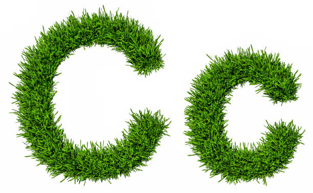 istock Letter of grass alphabet. 3d illustration 908567790
