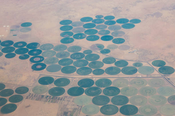 Sudanese Agriculture An aerial view of Sudanese agriculture and irrigation systems crop circle stock pictures, royalty-free photos & images