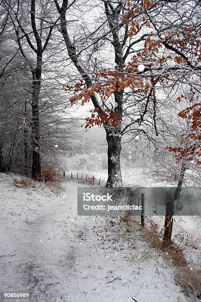 Invierno 03 Foto de stock y más banco de imágenes de Aire libre - Aire libre, Belleza de la naturaleza, Blanco - Color