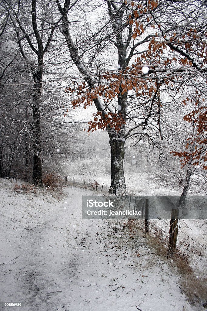 Inverno 03 - Royalty-free A nevar Foto de stock