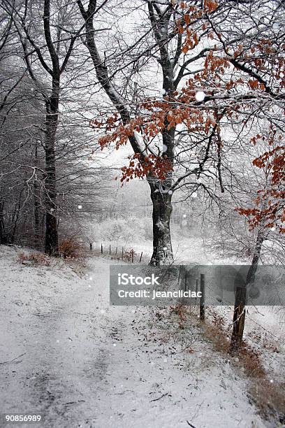 Inverno 03 - Fotografias de stock e mais imagens de A nevar - A nevar, Ao Ar Livre, Beleza natural