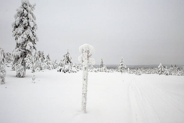 Snowy street next to bungalows in winter in Rovaniemi, Lapland