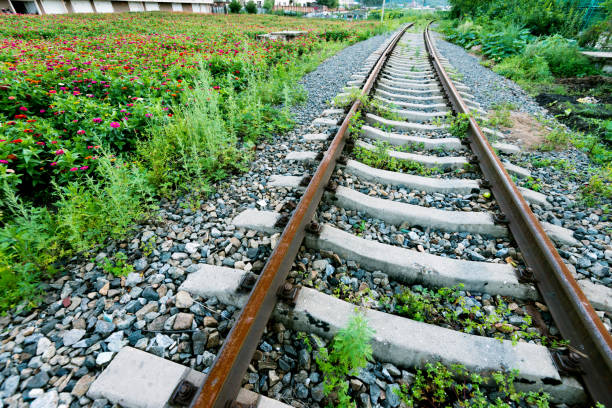 istock The abandoned rails was overgrown with weeds 908570962