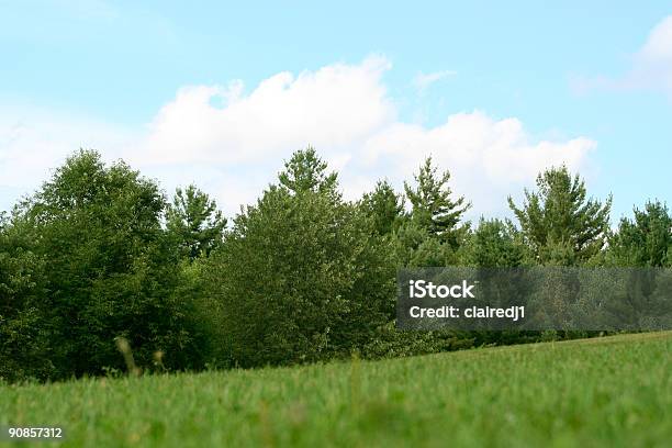 Blauer Himmel Und Grünen Bäumen Field Stockfoto und mehr Bilder von Alm - Alm, Baum, Baumkrone