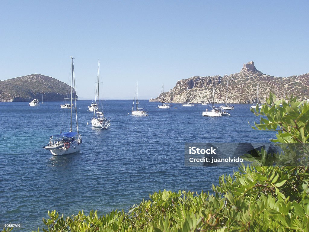 port et le château de island, voir et les bateaux - Photo de Lézard libre de droits
