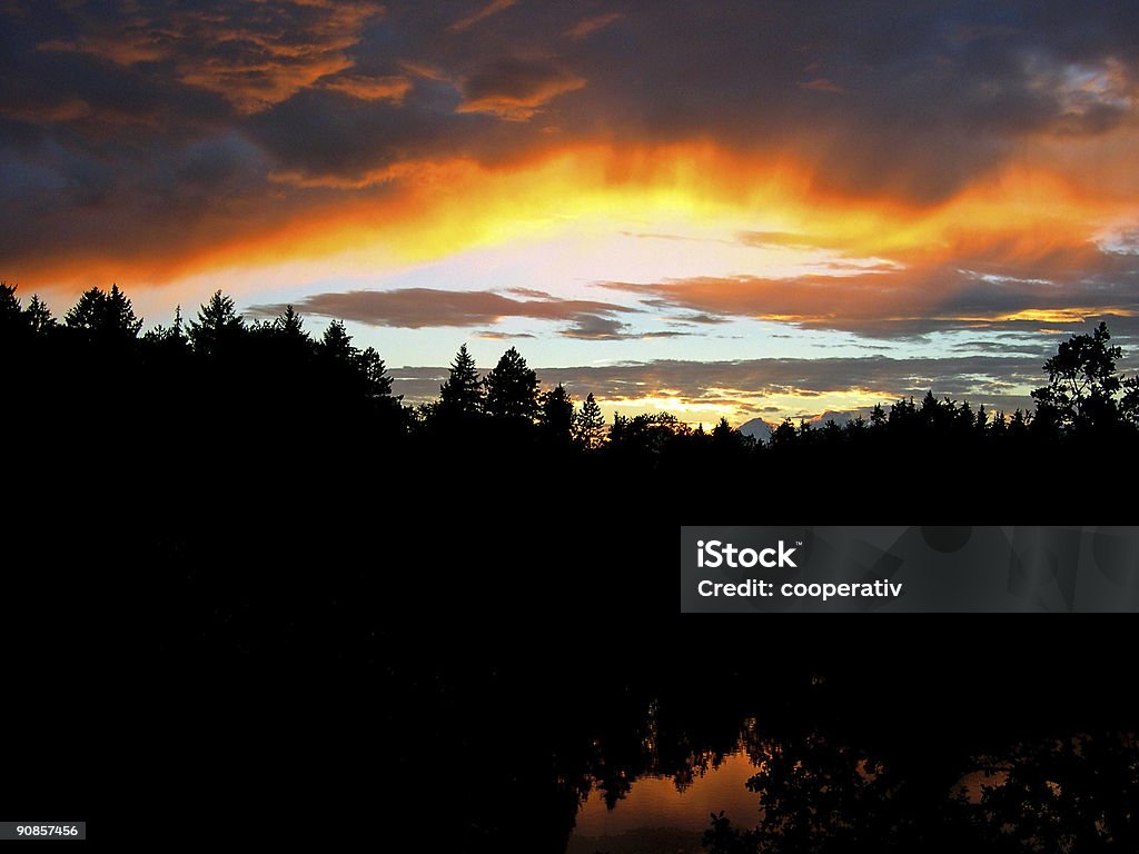 Sonnenuntergang im Wald. - Lizenzfrei Abenddämmerung Stock-Foto