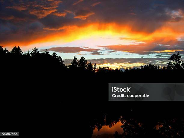 Sonnenuntergang Im Wald Stockfoto und mehr Bilder von Abenddämmerung - Abenddämmerung, Cumulus, Dämmerung