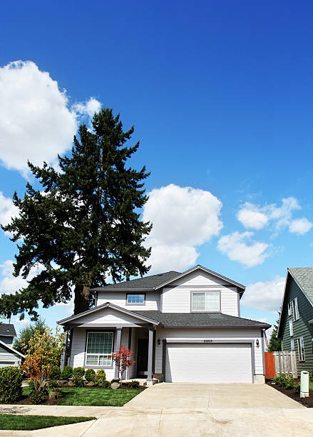 istock New Home with Tall Tree in the Back Yard 90857544