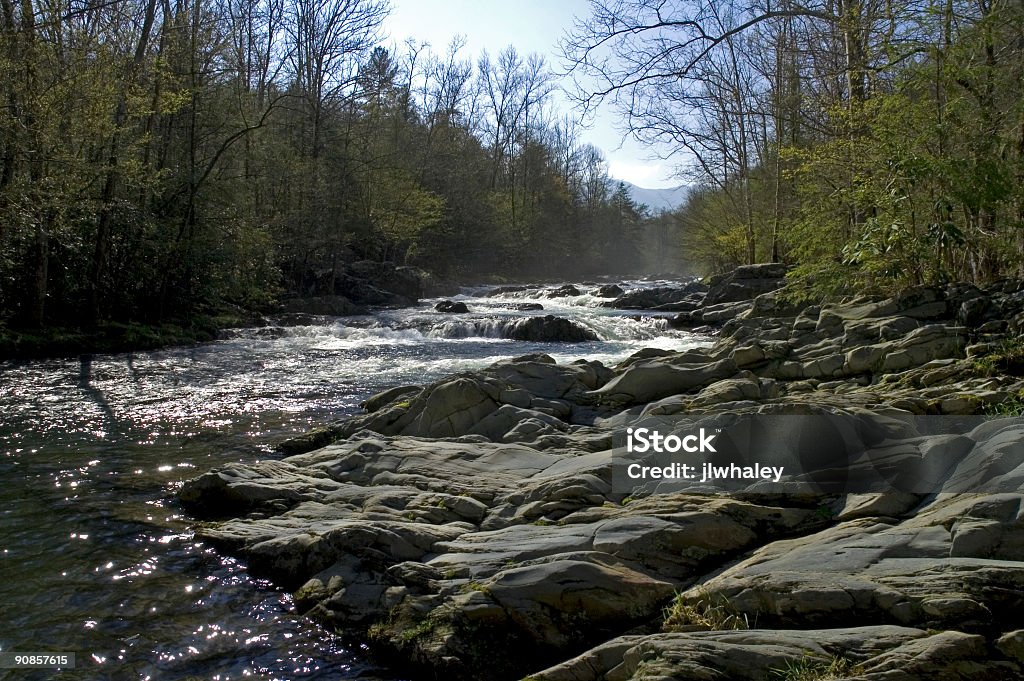 Pequeno Rio Pigeon, Greenbrier, Montanhas Great Smoky NP - Foto de stock de Appalachia royalty-free