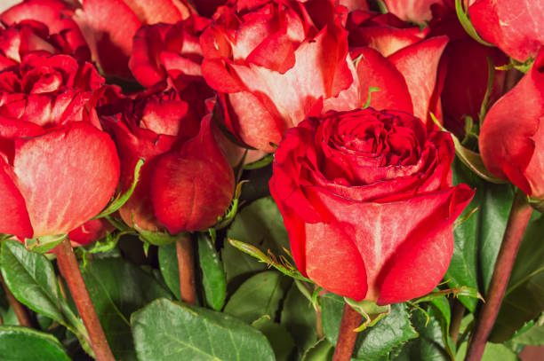 istock Flower bouquet from red roses 908581886