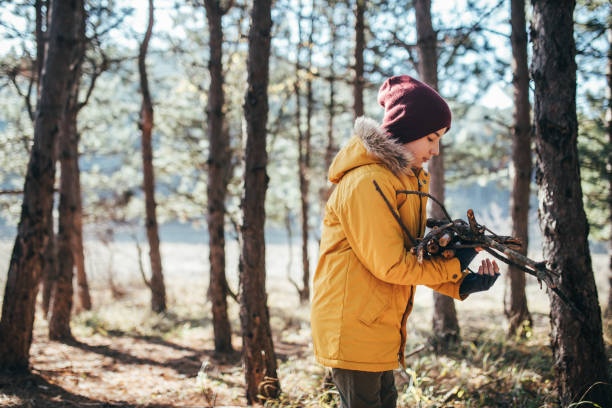 istock Boy collecting stick plant in forest 908581954
