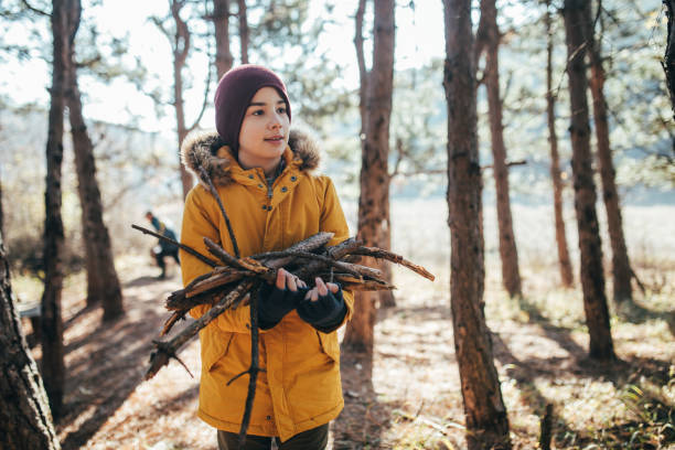 istock Boy collecting stick plant in forest 908582018