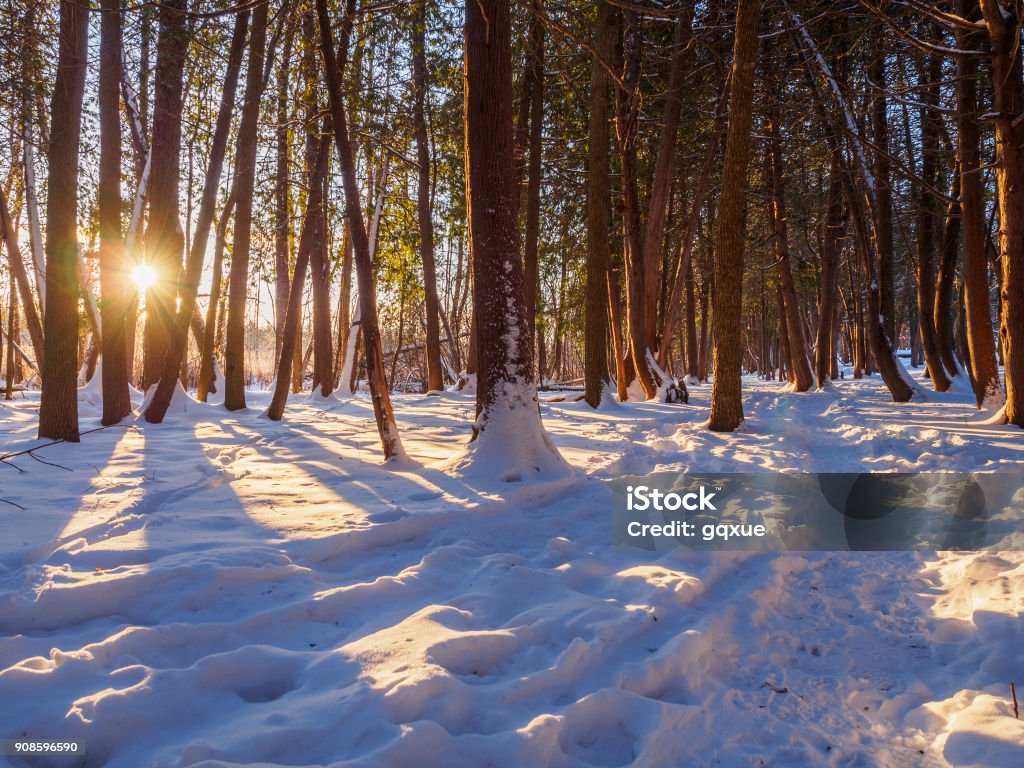 Winter trail covered with snow at sunrise Ottawa Green Belt trail in winter at sunrise Ontario - Canada Stock Photo
