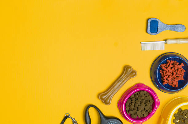 istock Dog food and accessories on yellow background top view 908600052